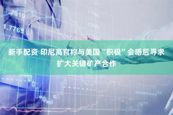 新手配资 印尼高官称与美国“积极”会晤后寻求扩大关键矿产合作